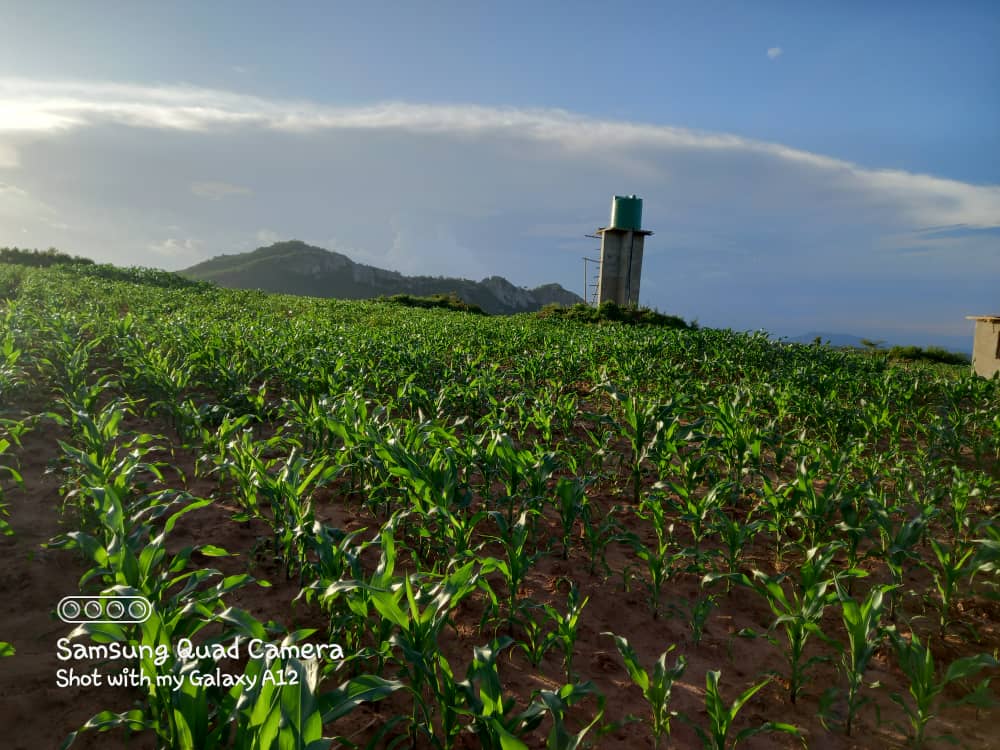 Solar irrigation expansion in Nkhata Bay